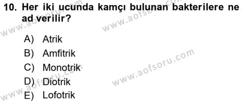 Fitopatoloji Dersi 2023 - 2024 Yılı (Final) Dönem Sonu Sınavı 10. Soru