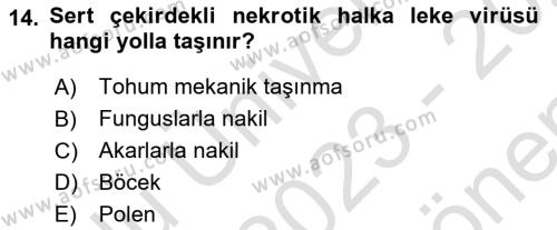 Fitopatoloji Dersi 2023 - 2024 Yılı (Final) Dönem Sonu Sınavı 14. Soru