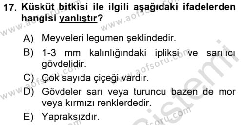 Fitopatoloji Dersi 2023 - 2024 Yılı (Final) Dönem Sonu Sınavı 17. Soru