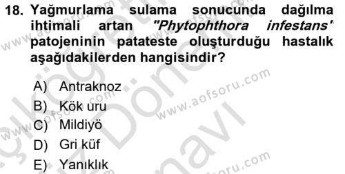 Fitopatoloji Dersi 2023 - 2024 Yılı (Final) Dönem Sonu Sınavı 18. Soru