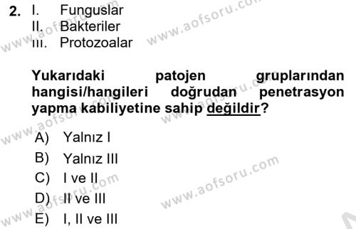 Fitopatoloji Dersi 2023 - 2024 Yılı (Final) Dönem Sonu Sınavı 2. Soru