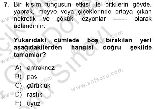 Fitopatoloji Dersi 2023 - 2024 Yılı (Final) Dönem Sonu Sınavı 7. Soru