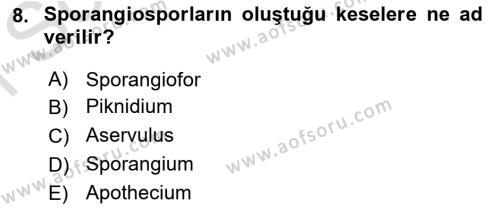 Fitopatoloji Dersi 2023 - 2024 Yılı (Final) Dönem Sonu Sınavı 8. Soru