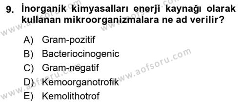 Fitopatoloji Dersi 2023 - 2024 Yılı (Final) Dönem Sonu Sınavı 9. Soru