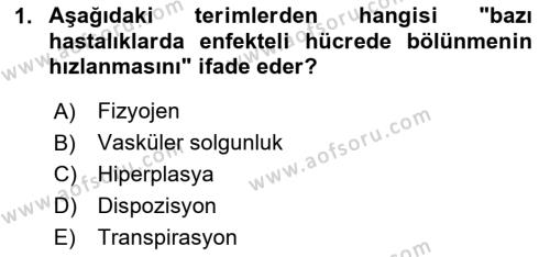 Fitopatoloji Dersi 2023 - 2024 Yılı Yaz Okulu Sınavı 1. Soru