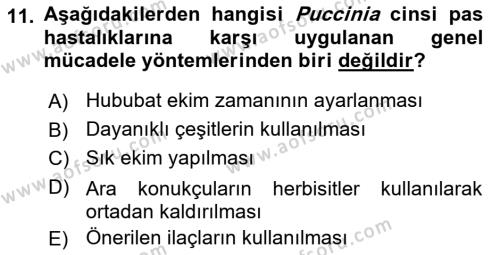 Fitopatoloji Dersi 2023 - 2024 Yılı Yaz Okulu Sınavı 11. Soru