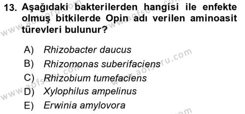 Fitopatoloji Dersi 2023 - 2024 Yılı Yaz Okulu Sınavı 13. Soru