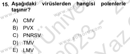Fitopatoloji Dersi 2023 - 2024 Yılı Yaz Okulu Sınavı 15. Soru