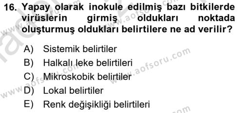 Fitopatoloji Dersi 2023 - 2024 Yılı Yaz Okulu Sınavı 16. Soru