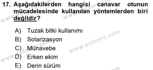Fitopatoloji Dersi 2023 - 2024 Yılı Yaz Okulu Sınavı 17. Soru