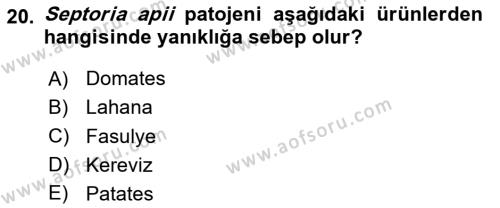 Fitopatoloji Dersi 2023 - 2024 Yılı Yaz Okulu Sınavı 20. Soru