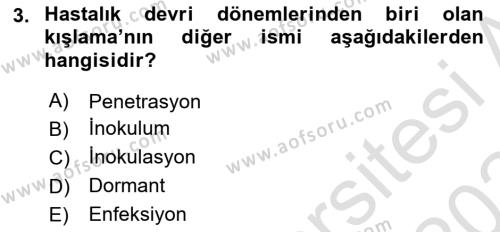 Fitopatoloji Dersi 2023 - 2024 Yılı Yaz Okulu Sınavı 3. Soru