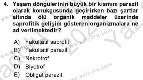 Fitopatoloji Dersi 2023 - 2024 Yılı Yaz Okulu Sınavı 4. Soru