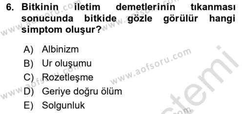 Fitopatoloji Dersi 2023 - 2024 Yılı Yaz Okulu Sınavı 6. Soru