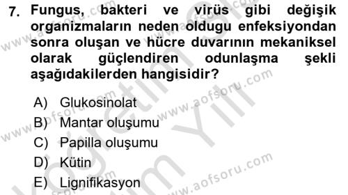 Fitopatoloji Dersi 2023 - 2024 Yılı Yaz Okulu Sınavı 7. Soru