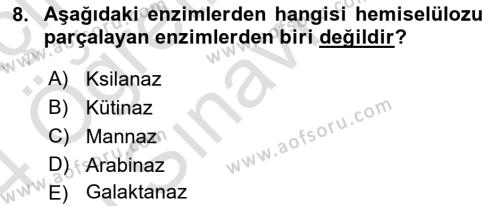 Fitopatoloji Dersi 2023 - 2024 Yılı Yaz Okulu Sınavı 8. Soru