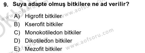 Fitopatoloji Dersi 2023 - 2024 Yılı Yaz Okulu Sınavı 9. Soru
