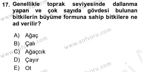 Peyzaj Çevre ve Tarım Dersi 2018 - 2019 Yılı (Vize) Ara Sınavı 17. Soru