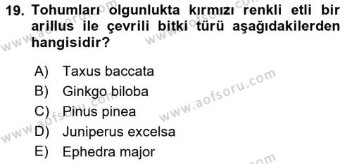 Peyzaj Çevre ve Tarım Dersi 2018 - 2019 Yılı (Vize) Ara Sınavı 19. Soru