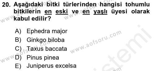 Peyzaj Çevre ve Tarım Dersi 2018 - 2019 Yılı (Vize) Ara Sınavı 20. Soru