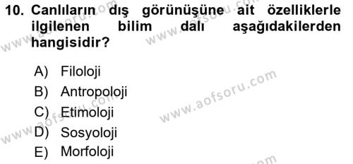 Peyzaj Çevre ve Tarım Dersi 2020 - 2021 Yılı Yaz Okulu Sınavı 10. Soru