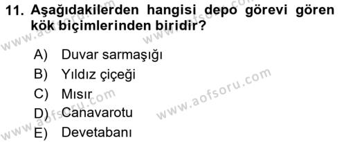 Peyzaj Çevre ve Tarım Dersi 2020 - 2021 Yılı Yaz Okulu Sınavı 11. Soru