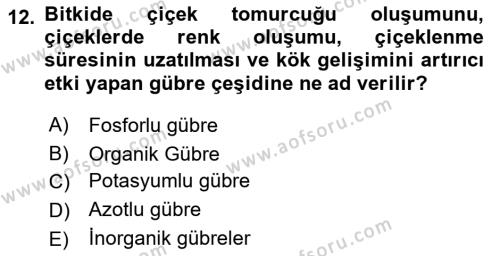 Peyzaj Çevre ve Tarım Dersi 2020 - 2021 Yılı Yaz Okulu Sınavı 12. Soru