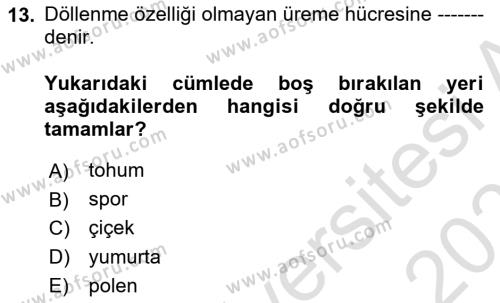 Peyzaj Çevre ve Tarım Dersi 2020 - 2021 Yılı Yaz Okulu Sınavı 13. Soru