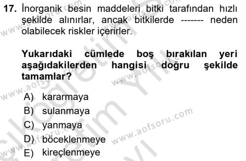 Peyzaj Çevre ve Tarım Dersi 2020 - 2021 Yılı Yaz Okulu Sınavı 17. Soru