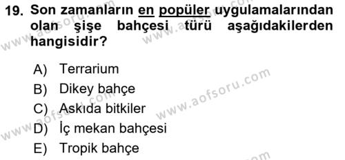 Peyzaj Çevre ve Tarım Dersi 2020 - 2021 Yılı Yaz Okulu Sınavı 19. Soru