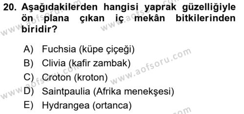 Peyzaj Çevre ve Tarım Dersi 2020 - 2021 Yılı Yaz Okulu Sınavı 20. Soru