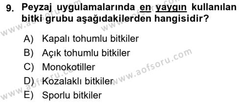 Peyzaj Çevre ve Tarım Dersi 2020 - 2021 Yılı Yaz Okulu Sınavı 9. Soru