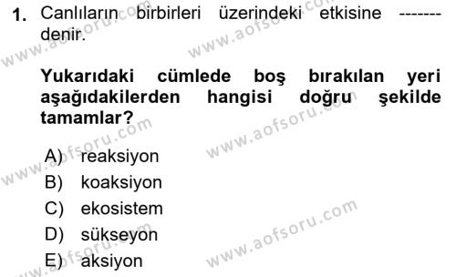 Peyzaj Çevre ve Tarım Dersi 2021 - 2022 Yılı Yaz Okulu Sınavı 1. Soru