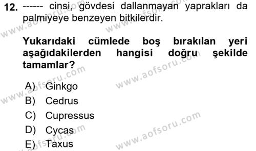 Peyzaj Çevre ve Tarım Dersi 2021 - 2022 Yılı Yaz Okulu Sınavı 12. Soru