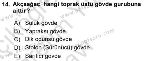 Peyzaj Çevre ve Tarım Dersi 2021 - 2022 Yılı Yaz Okulu Sınavı 14. Soru