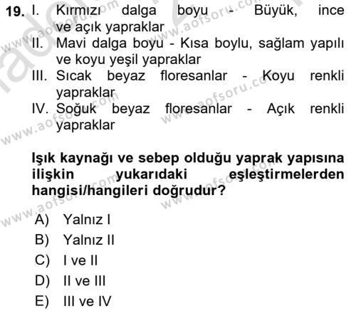 Peyzaj Çevre ve Tarım Dersi 2021 - 2022 Yılı Yaz Okulu Sınavı 19. Soru