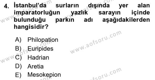 Peyzaj Çevre ve Tarım Dersi 2021 - 2022 Yılı Yaz Okulu Sınavı 4. Soru