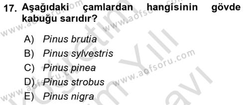 Peyzaj Çevre ve Tarım Dersi 2023 - 2024 Yılı (Vize) Ara Sınavı 17. Soru