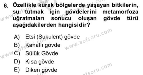 Peyzaj Çevre ve Tarım Dersi 2023 - 2024 Yılı (Final) Dönem Sonu Sınavı 6. Soru