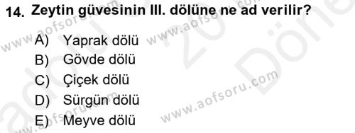 Entomoloji Dersi 2017 - 2018 Yılı (Final) Dönem Sonu Sınavı 14. Soru