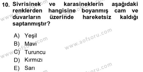 Entomoloji Dersi 2018 - 2019 Yılı 3 Ders Sınavı 10. Soru