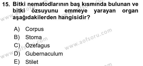 Entomoloji Dersi 2018 - 2019 Yılı (Final) Dönem Sonu Sınavı 15. Soru