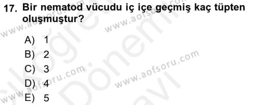 Entomoloji Dersi 2018 - 2019 Yılı (Final) Dönem Sonu Sınavı 17. Soru