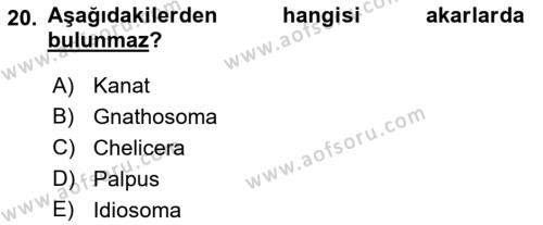 Entomoloji Dersi 2018 - 2019 Yılı (Final) Dönem Sonu Sınavı 20. Soru