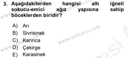 Entomoloji Dersi 2018 - 2019 Yılı (Final) Dönem Sonu Sınavı 3. Soru