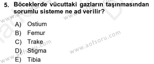 Entomoloji Dersi 2018 - 2019 Yılı (Final) Dönem Sonu Sınavı 5. Soru