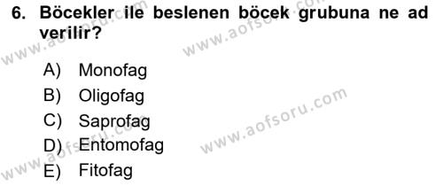 Entomoloji Dersi 2018 - 2019 Yılı (Final) Dönem Sonu Sınavı 6. Soru