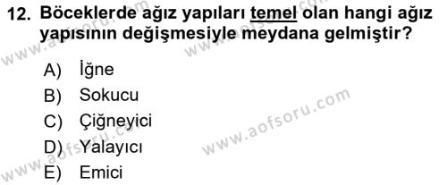 Entomoloji Dersi 2019 - 2020 Yılı (Vize) Ara Sınavı 12. Soru