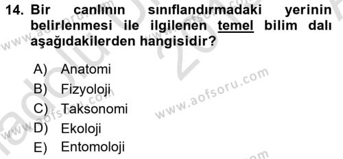 Entomoloji Dersi 2019 - 2020 Yılı (Vize) Ara Sınavı 14. Soru