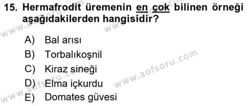 Entomoloji Dersi 2019 - 2020 Yılı (Vize) Ara Sınavı 15. Soru